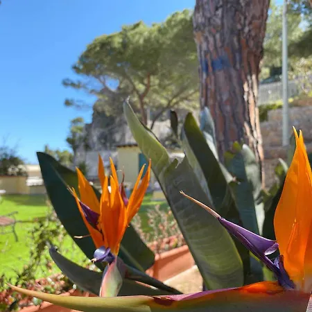 Дом отдыха Solemar Sicilia - Marlene *